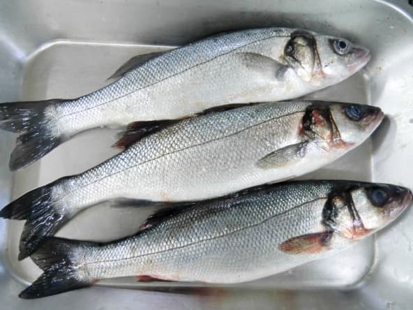 Les critères de fraîcheur du poisson