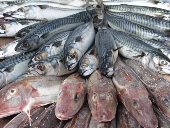 Conseils d'achat du poisson