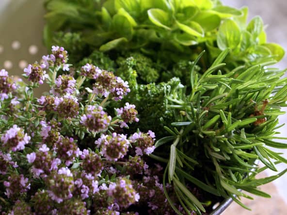 Herbes aromatiques