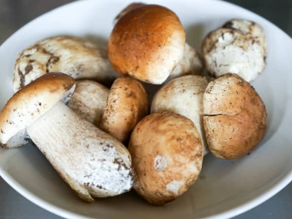 Cèpes.