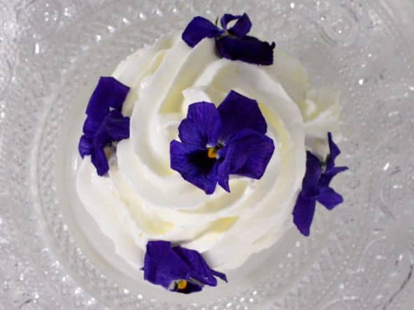 Meringue glacée et son sorbet fraise fait maison