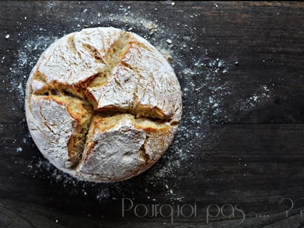La belle aventure du levain et la cuisson du pain en cocotte