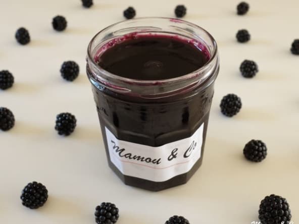 Confiture de mûres sauvages sans pépins