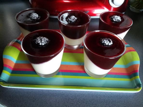 Panacotta à la vanille et son coulis de prunes rouges