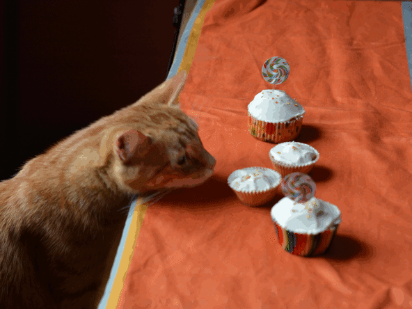 Cupcakes vanille et glaçage yaourt