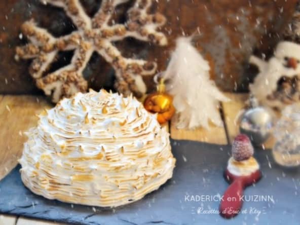 Dôme bûche de Noël