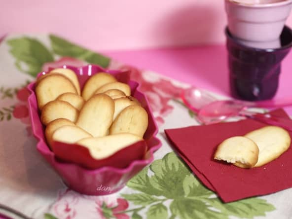 Langues de chat