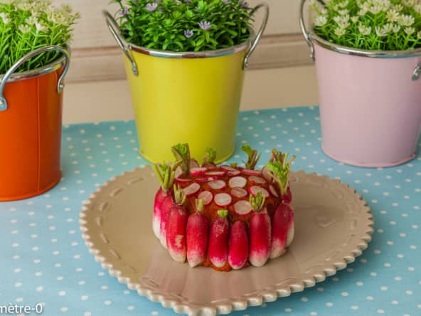 Chèvre à la tomatine et aux radis