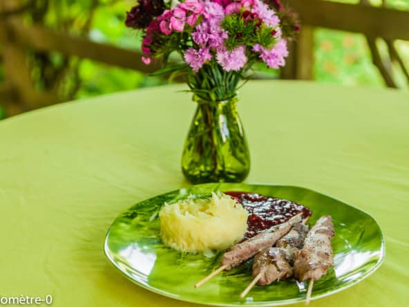 Aiguillettes de canard sauce au vin et aux framboises