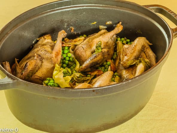 Pigeon aux petits pois