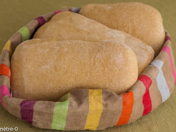 Panini