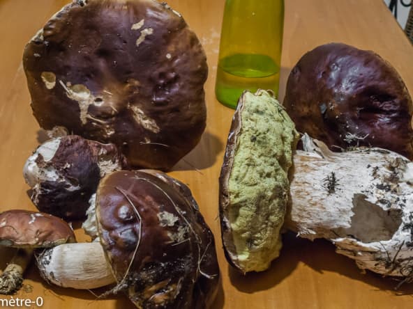 Cuisinez des cèpes