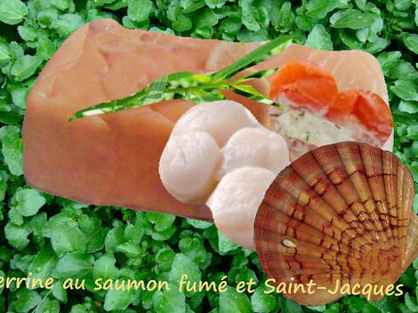 Terrine au saumon fumé et Saint-Jacques ou pétoncles