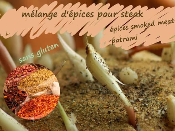 Mélange d'épices pour steak, hamburger, viandes