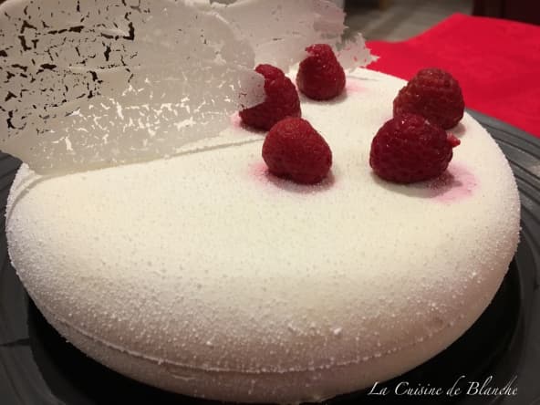 Entremets coco framboise
