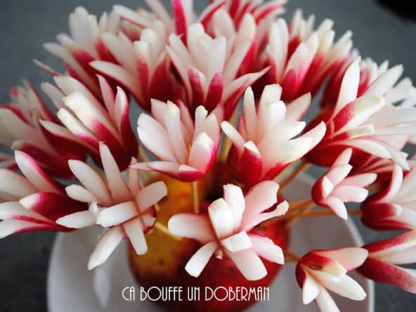 Bouquet de radis