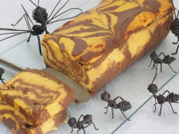 Gâteau marbré de butternut