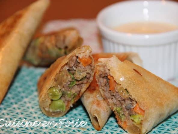Samoussas bœuf et légumes
