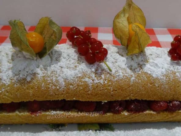 Bûche noix de coco aux framboises et sa sauce chocolat