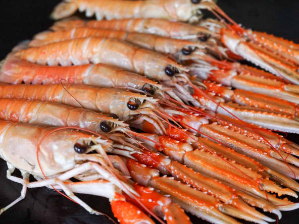 Châtrer une langoustine