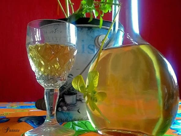 Liqueur au basilic
