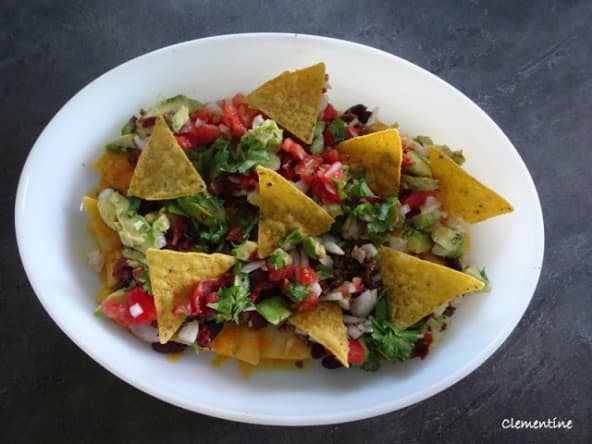 Nachos garnis