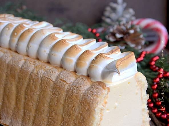 Bûche à la mousse citron