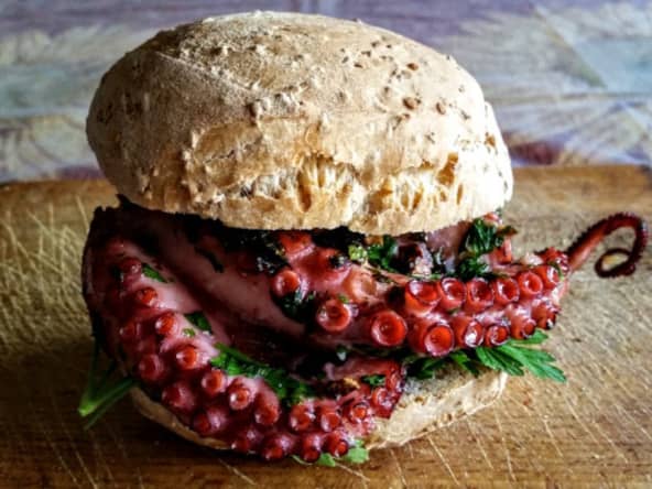 Poulpe burger