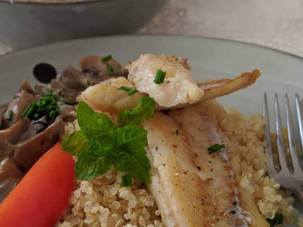 Merlan grillé, champignons à la crème et Quinoa blanc