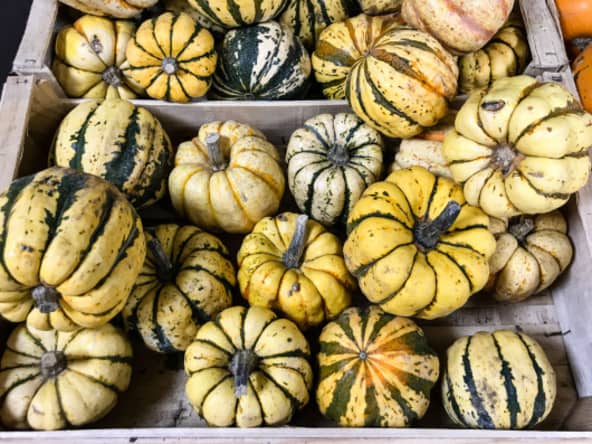 Courge patidou rôtie