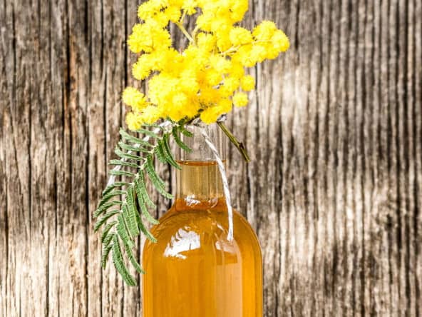 Sirop de fleurs de mimosa au cédrat