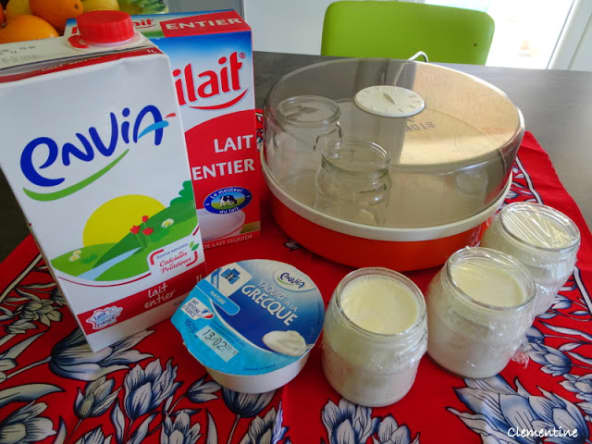 Yaourt fait maison avec une yaourtière 