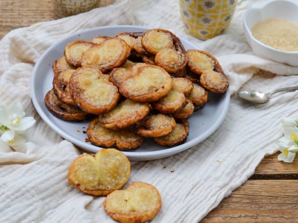 Petits palmiers feuilletés