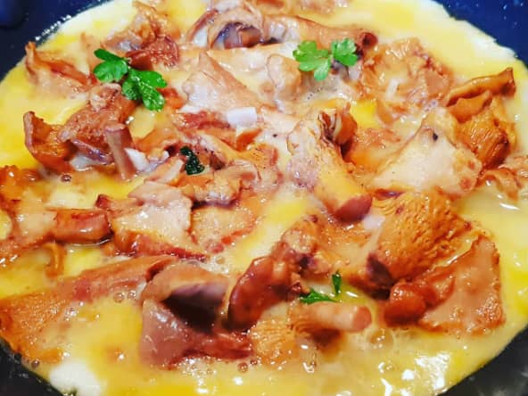 Omelette aux girolles