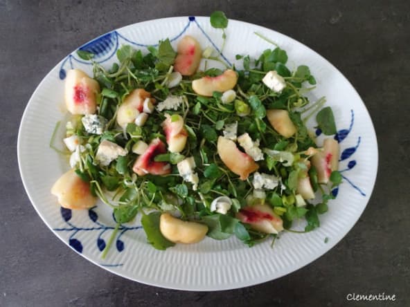 Salade de cresson aux pêches et fromage bleu