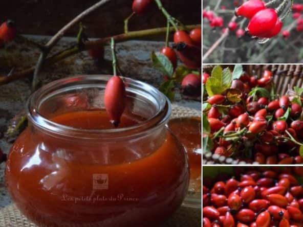 Confiture de cynorhodon