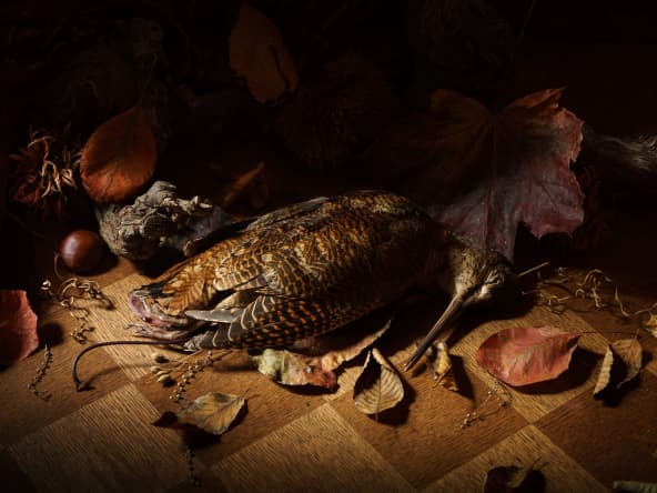 Bécasse des dieux cuite sur une tresse d'ail fumé d'Arleux, jus d'oiseau au long bec