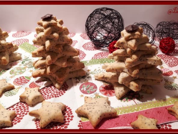 Biscuits citron pavot