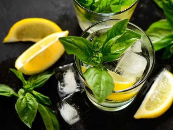 Cocktail Black Basil