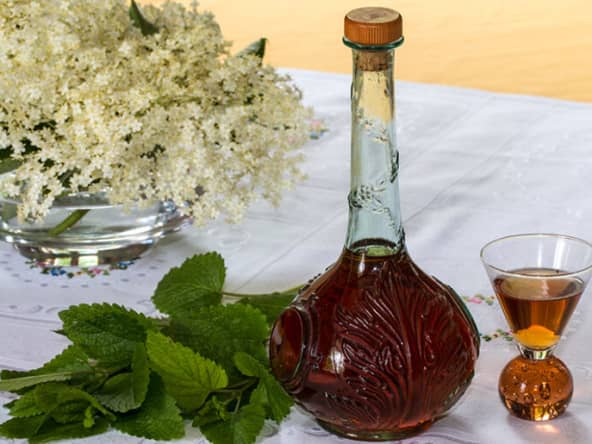 Liqueur de mélisse