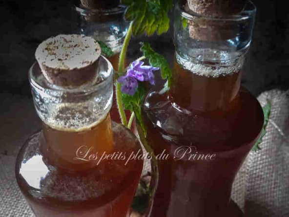 Sirop contre les rhumes et bronchites, au lierre terrestre