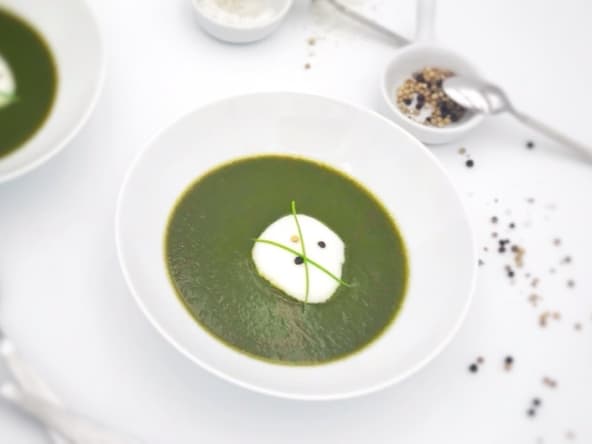 Soupe de cerfeuil