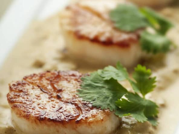 Blanquette de Saint-jacques aux champignons