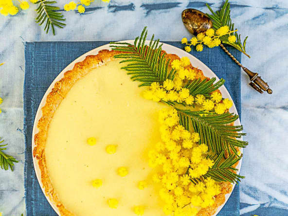 Tarte au mimosa sauvage