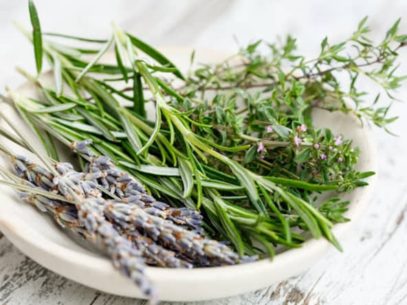 Herbes de Provence