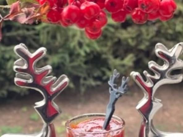 Confiture de sorbes, les fruits du sorbier des oiseaux