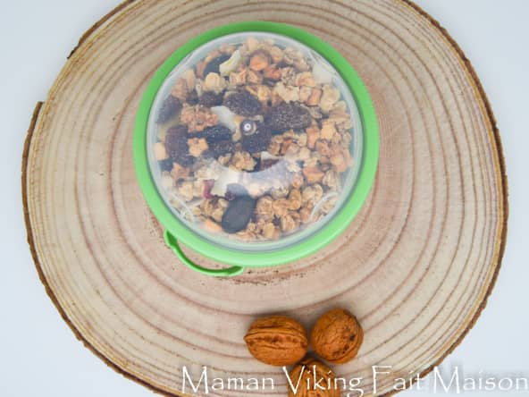 Fromage blanc et muesli fait maison