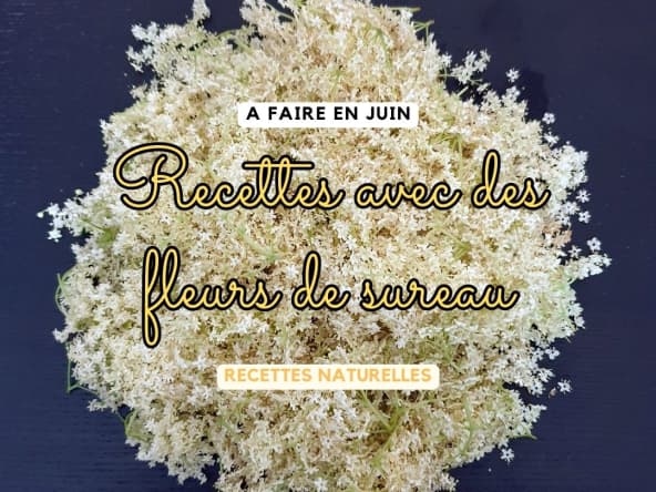 Vin à la fleur de sureau