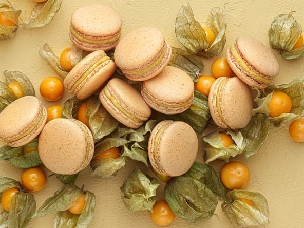 Le Macaron Ouréa