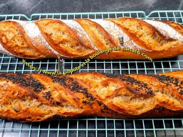 Baguettes de tradition française